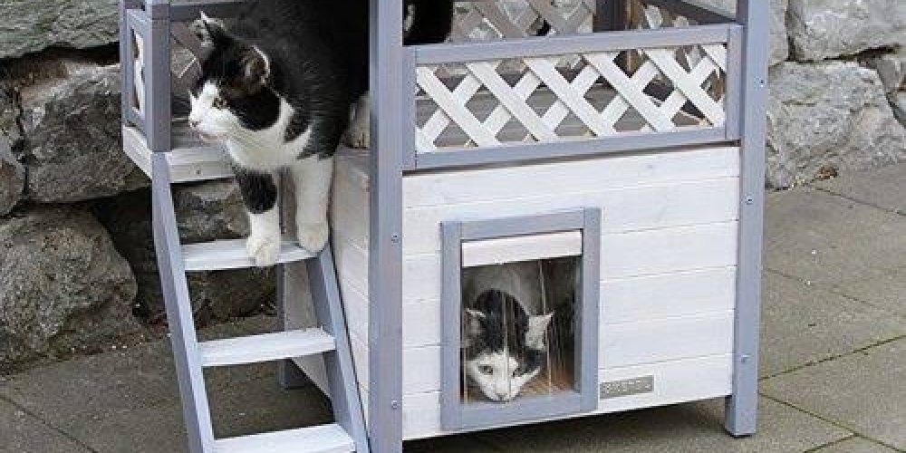 Are waterproof outdoor cat houses beneficial for cats?